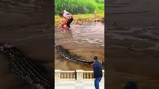 What an interesting and funny short video nature shorts trending flood [upl. by Llemej105]