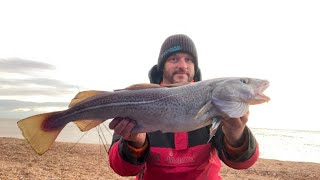 Chesil beach fishing after a storm guess the weight of the cod 👀  new rods [upl. by Delilah]