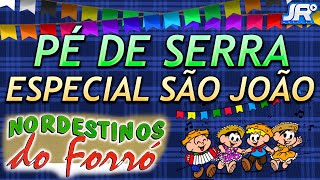 Pé de Serra  Especial São João  Nordestinos do Forró [upl. by Dex]