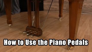 Piano Pedals Explained 2 vs 3 Pedals amp Their Functions [upl. by Burd]