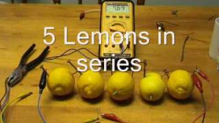 Lemon and salt water batteries [upl. by Anelliw]