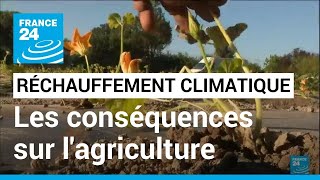 Les conséquences du réchauffement climatique sur lagriculture • FRANCE 24 [upl. by Anwaf617]