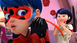 MARINETTES FAMILY WILL LEARN HER SECRET IDENTITIY Miraculous Ladybug Season 6 Spoilers [upl. by Macdonell257]