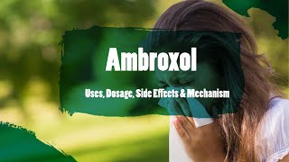 ambroxol  Uses Dosage Side Effects amp Mechanism  Bisolvon [upl. by Anirbus]