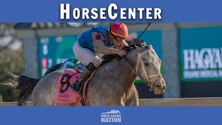 Clark Stakes and Kentucky Jockey Club top picks on HorseCenter [upl. by Lolande]