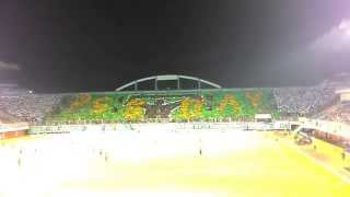 Koreo BRIGATA CURVA SUD BCS quotPSS DAYquot HD [upl. by Eleumas]