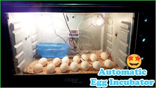 How to Make Fully Automatic Incubator at Home Chicks Hatching in OLD Microwave Oven [upl. by Addis]