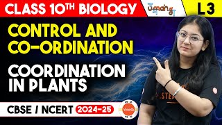 Control amp CoordinationL3  Coordination in plants  Class 10 Science Chapter 7  UMANG [upl. by Hermann]