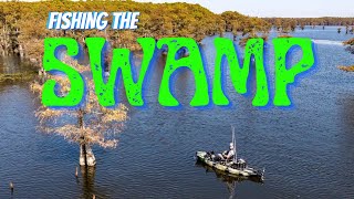 Change of Plans Louisiana Swamp Tournament Hobie BOS day 2 [upl. by Neetsyrk]