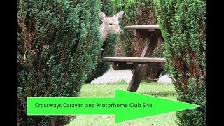 Arrival video for Crossways CMC Moreton Camping amp Caravanning Club and Five Cross CL [upl. by Marylin897]