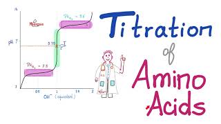 Titration of Amino Acids  pH pKa1 and pKa2  Isoelectric Point Amino Acids Part 4 [upl. by Nosoj]