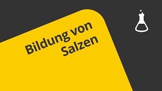 Die Bildung von Salzen  Chemie  Allgemeine und anorganische Chemie [upl. by Wiskind]