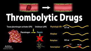 Pharmacology Thrombolytic Fibrinolytic Drugs Animation [upl. by Anirtek]