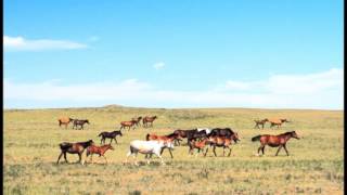 Köroğlu  Kazakistan  İrfan Gürdal [upl. by Garrott141]