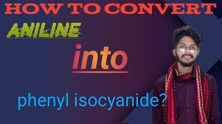 Organic chemistry class 12  How to convert aniline into phenyl isocyanide [upl. by Ladnik643]