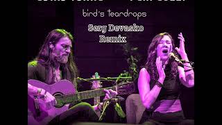 Estas Tonne FtPeia LuzziBirds TeardropsSerg Devasko Remix [upl. by Nnasor]