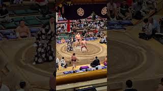 Sumo Wrestling in Tokyo japan sumo martialarts [upl. by Oaht]