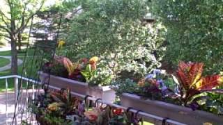 How To Secure Window Boxes on Deck or Patio Railings [upl. by Ardnaik87]