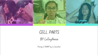 LE SSYNTHESIS  CELL PARTS ColorCoded Lyric Video [upl. by Aloap]