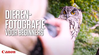 Dierenfotografie voor beginners in 5 stappen  Canon Nederland [upl. by Neirad]