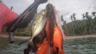 Spearfishing Grenada [upl. by Nananne55]