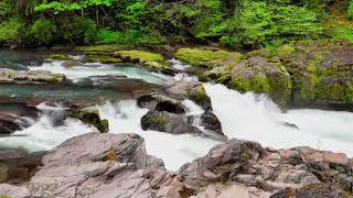 Flowing Water Stream for Meditation Stress Relief and Deep Relaxation [upl. by Ecila]