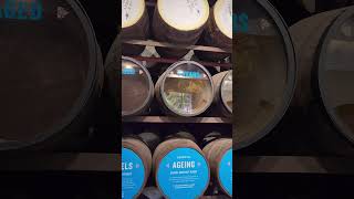 Appleton Rum Tour St Elizabeth Jamaica [upl. by Ennovyhc201]