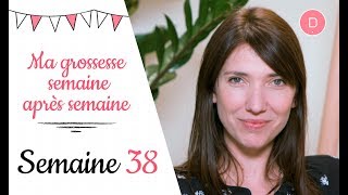 38ème semaine de grossesse – Prêts pour une nouvelle vie [upl. by Maurer]