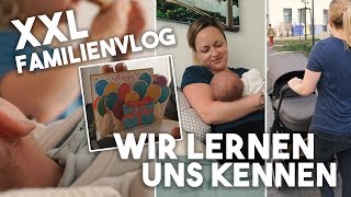 1 VLOG zu viert I Familienleben mit Baby I Mellis Blog [upl. by Arikahs]