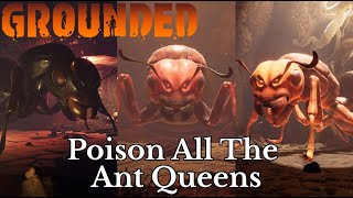 Poison All The Ant Queens  Grounded Gameplay  Infect The Red Ant Queen [upl. by Hart245]