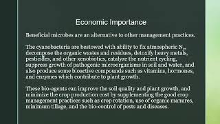 Cyanobacteria 2  Economic importance of BGA Cyanobacteria [upl. by Suqram]