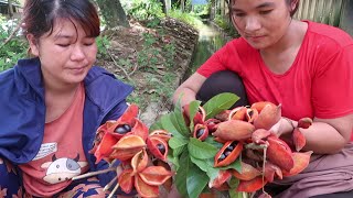 Eat yellowfleshed fruit Sterculia lanceolata [upl. by Idoc]