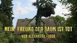 MEIN FREUND DER BAUM IST TOT von ALEXANDRA 1968 [upl. by Rolyak]