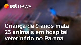 Criança de 9 anos mata 23 animais em hospital veterinário no Paraná diz polícia [upl. by Levi]