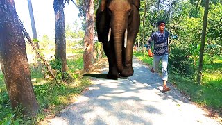 hathi movie  part 2  HD video  real video  binodon video   VFX ST TV [upl. by Yknip]