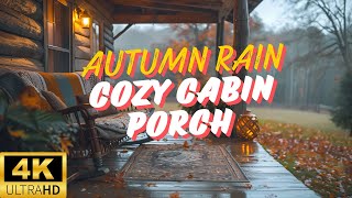 Cozy Cabin Retreat Rainfall and Birdsong in 4K [upl. by Ilonka456]