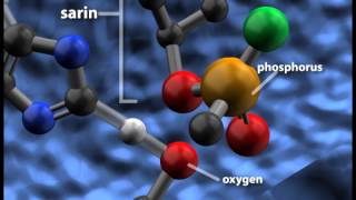 Sarin Inhibiting Acetylcholinesterase [upl. by Name]