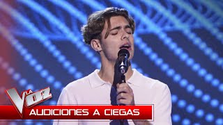 Javier Regueiro canta quotMaldita dulzuraquot  Audiciones a Ciegas  La Voz Antena 3 2024 [upl. by Hyacinthia]