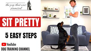 How to teach your dog “Sit Pretty” [upl. by Erin]