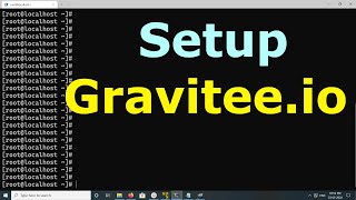 How to Setup Graviteeio [upl. by Yxor]