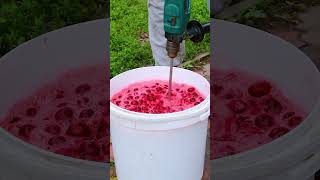 Manly Kitchen Making Cherry Wine Must with a Power Drill Mixer 🍒🍷 [upl. by Narud621]