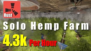 From Seed To Harvest Rust Solo Hemp Farm Challenge [upl. by Yatnohs8]