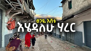 ፀጋዬ እሸቱ  እሄዳለሁ ሃረር  Tsegaye Eshetu  Ehedalehu Harer lyrics [upl. by Manlove33]