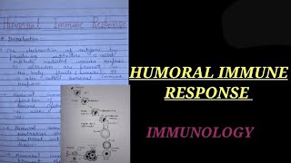 HUMORAL IMMUNE RESPONSE humoralimmunitynotes immunologynotes ZOOLOGYNOTES vbu bbmku [upl. by Krystle]