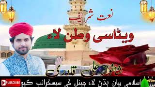 New Naat Sharif Shahnawaz Ali Qadri Beta Se Watan Live 2024 [upl. by Assele]