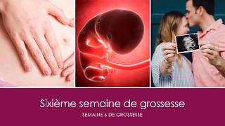 6 semaines de grossesse OU sixième semaine de grossesse [upl. by Melvyn7]