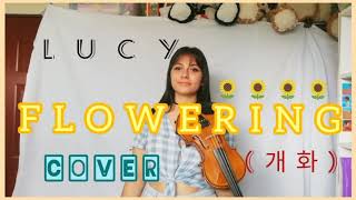 LUCY  Flowering 개화  WalWal Cover [upl. by Nash]