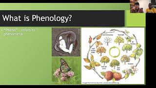 Phenology with Appalachian Headwaters [upl. by Ahseym870]