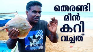 തെരണ്ടി മീൻ കറി വച്ചത്  YUMMY KERALA STINGRAY FISH CURRY RECIPE  FOOD SPECIAL [upl. by Fogel532]