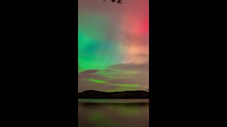 Northern Lights dance in sky delighting Scots across country shorts [upl. by Ky]